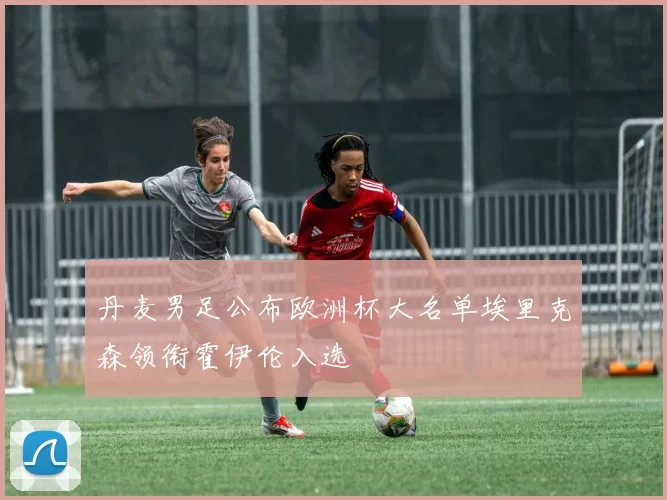 丹麦男足公布欧洲杯大名单埃里克森领衔霍伊伦入选