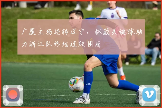 广厦主场逆转辽宁，林葳关键球助力浙江队终结连败困局