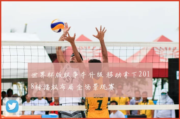 世界杯版权争夺升级 移动拿下2018转播权布局全场景观赛