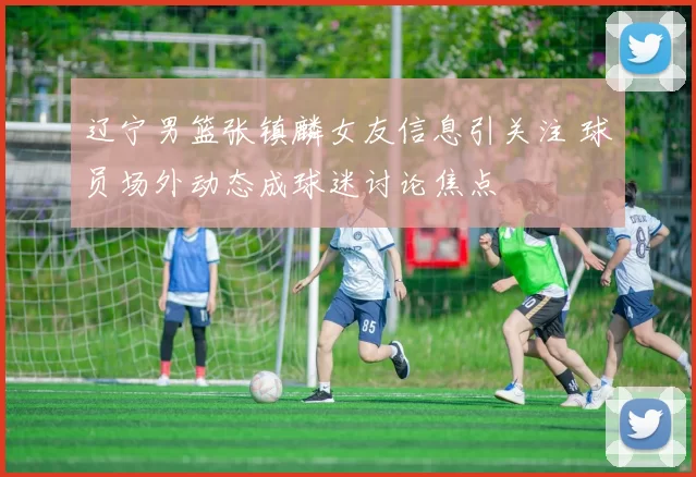 辽宁男篮张镇麟女友信息引关注 球员场外动态成球迷讨论焦点