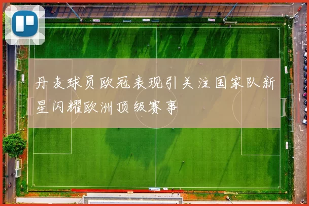 丹麦球员欧冠表现引关注国家队新星闪耀欧洲顶级赛事