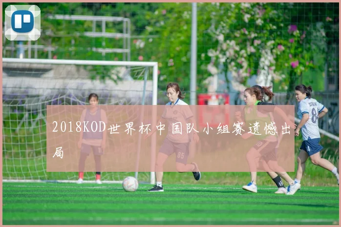 2018KOD世界杯中国队小组赛遗憾出局