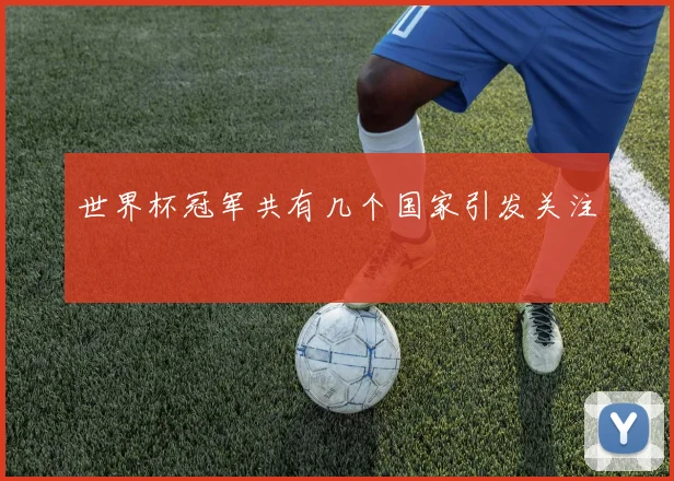 世界杯冠军共有几个国家引发关注