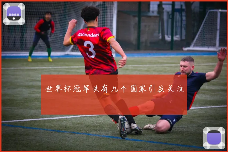 世界杯冠军共有几个国家引发关注